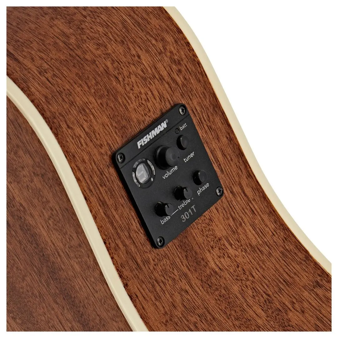 Гитарный набор Washburn Heritage D10 SCE (Natural/Black)