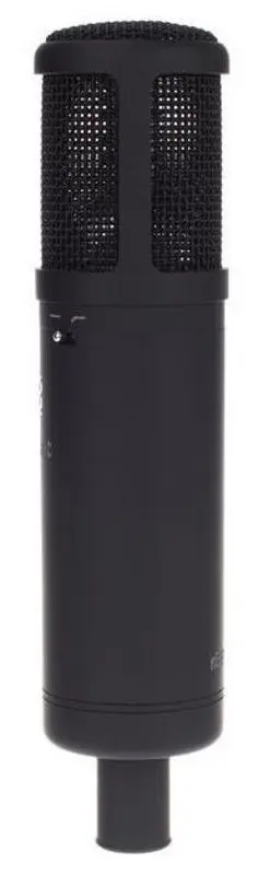 Микрофон sE Electronics sE2200 (Black)