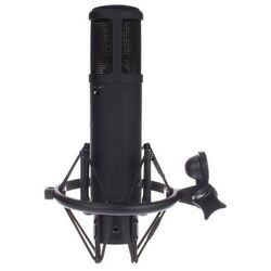 Микрофон sE Electronics sE2200 (Black) Thumb