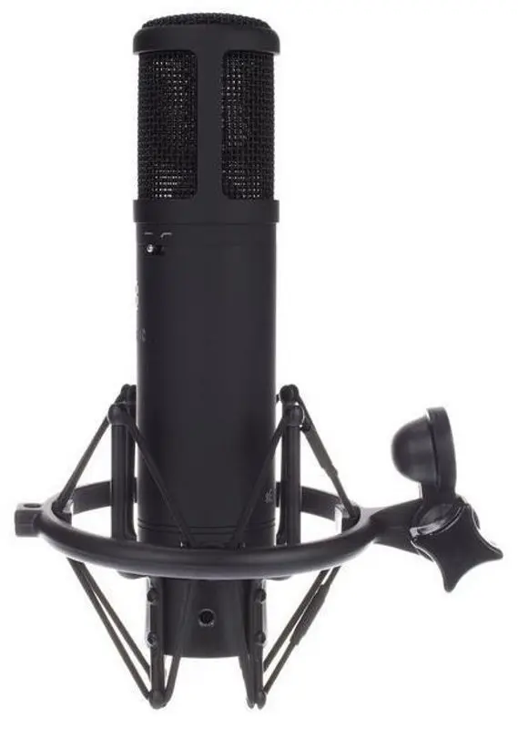 Микрофон sE Electronics sE2200 (Black)