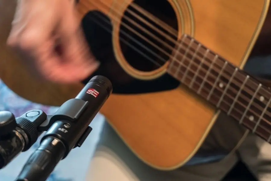 Microfon sE Electronics SE7 (Black)