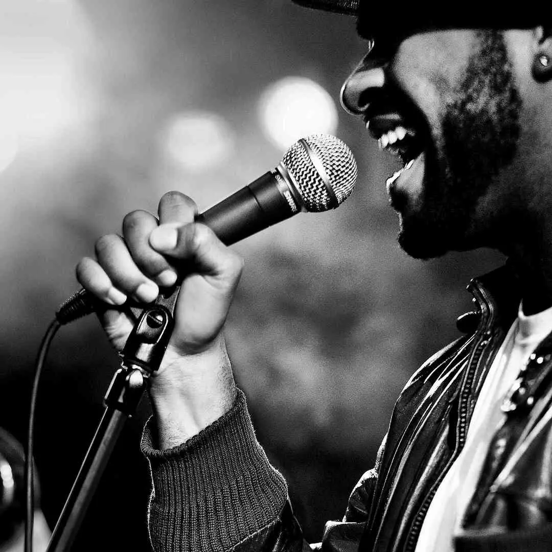 Microfon Shure SM58/LC (Black)