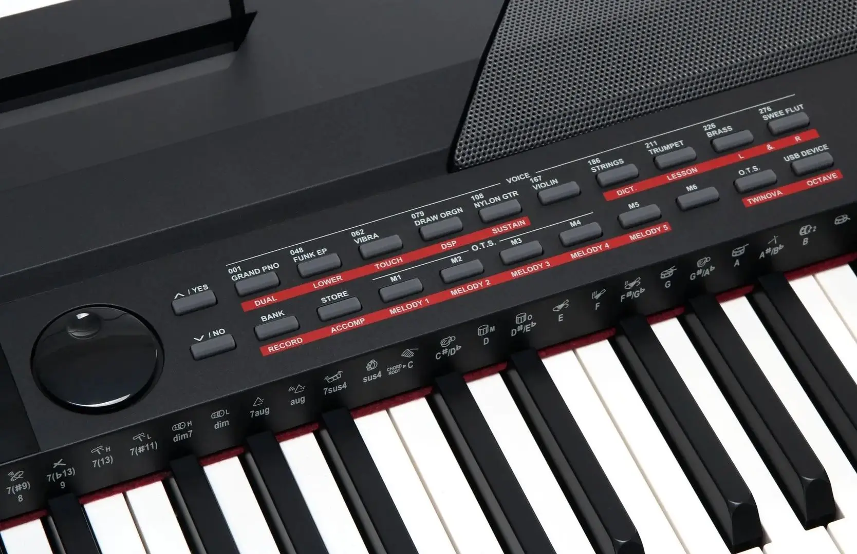 Цифровое пианино Classic Cantabile SP-250 BK (Black)