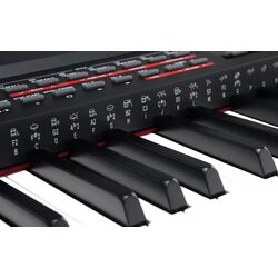 Цифровое пианино Classic Cantabile SP-250 BK (Black) Thumb