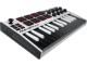 MIDI-клавиатура Akai MPK Mini MK3 (White/Black)