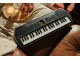 Sintezator Casio SA-81 (Black/White)