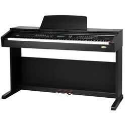 Цифровое пианино Classic Cantabile DP-A 310 SM (Black Matt)