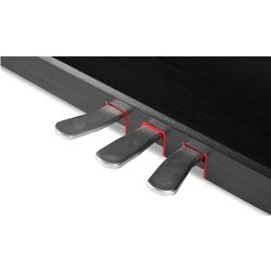 Pian digital Classic Cantabile DP-A 310 SM (Black Matt) Thumb