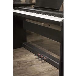 Pian digital Extreme P50 (Black) Thumb