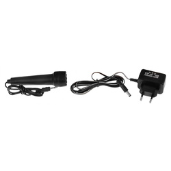 Sintetizator cu microfon pentru copii Ramiz MQ-811USB (Beige) Thumb