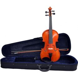 Vioara Aileen VM110 H 4/4 (Wood) Thumb