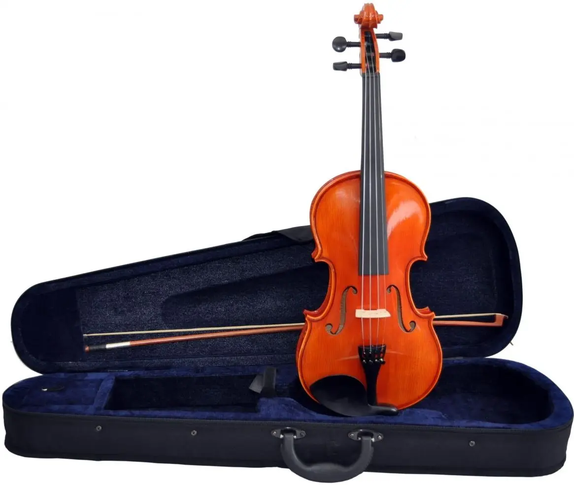 Vioara Aileen VM110 H 4/4 (Wood)