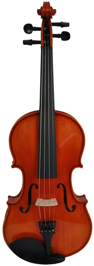 Vioara Aileen VM110 H 4/4 (Wood)