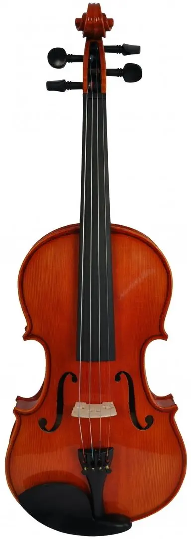 Vioara Aileen VM125A 4/4 (Wood)