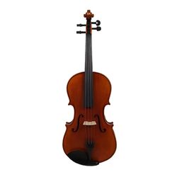Viola Aileen LG106 4/4 (Wood)
