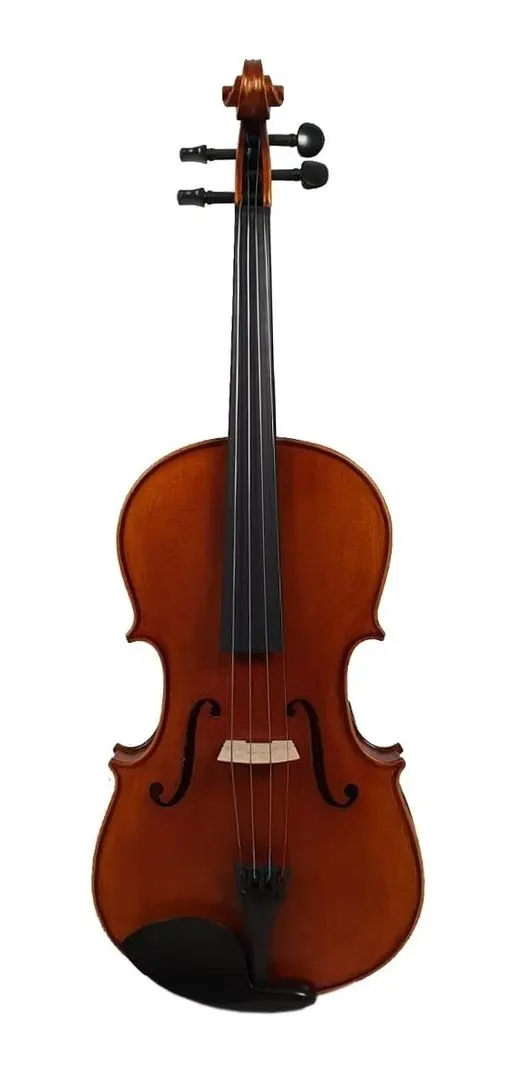 Viola Aileen LG106 4/4 (Wood)