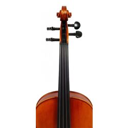 Viola Aileen LM110H 4/4 (Wood) Thumb