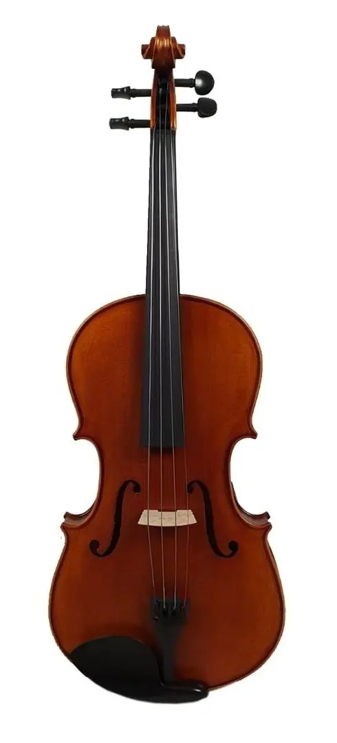 Viola Aileen LM110H 4/4 (Wood)