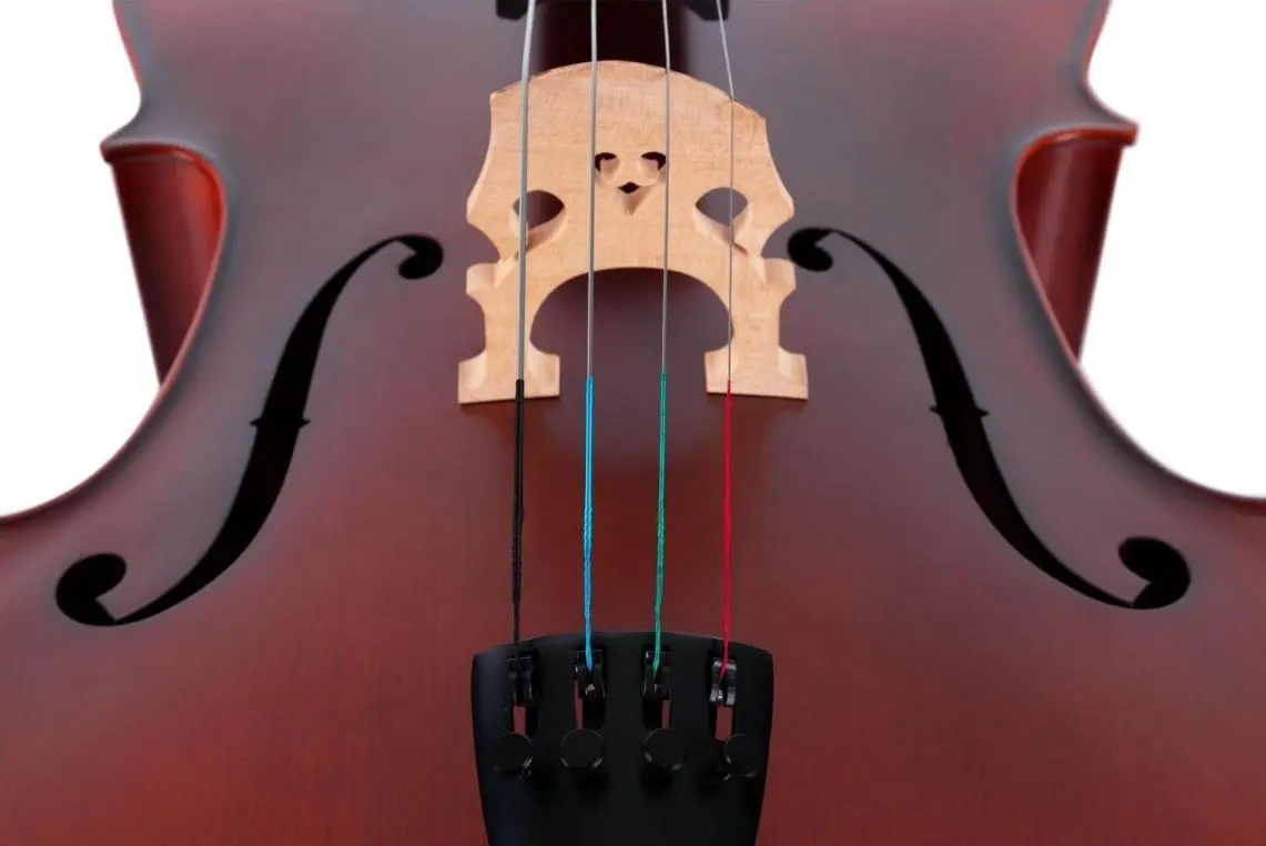 Violoncel Classic Cantabile Brioso Cello 4/4 (Wood/Black) - 4