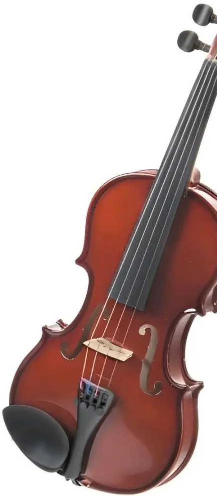 Vioara Flame MV012W 4/4 (Brown)