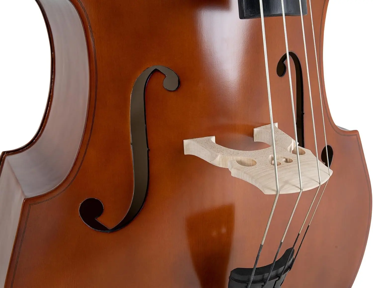 Contrabas Karl Hoffmeister MB040R 3/4 (Wood)