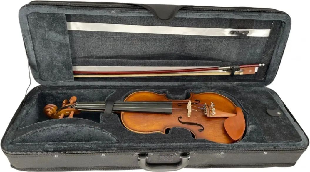 Vioara Karl Hoffmeister MV015B Advanced 3/4 (Wood)