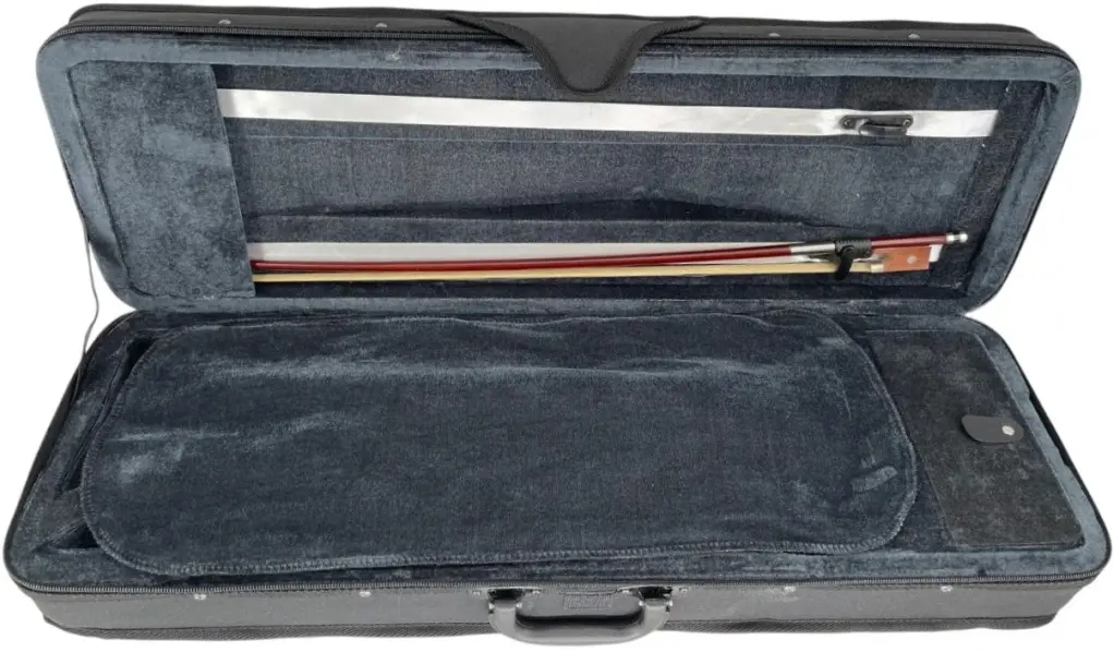 Vioara Karl Hoffmeister MV015B Advanced 4/4 (Wood)