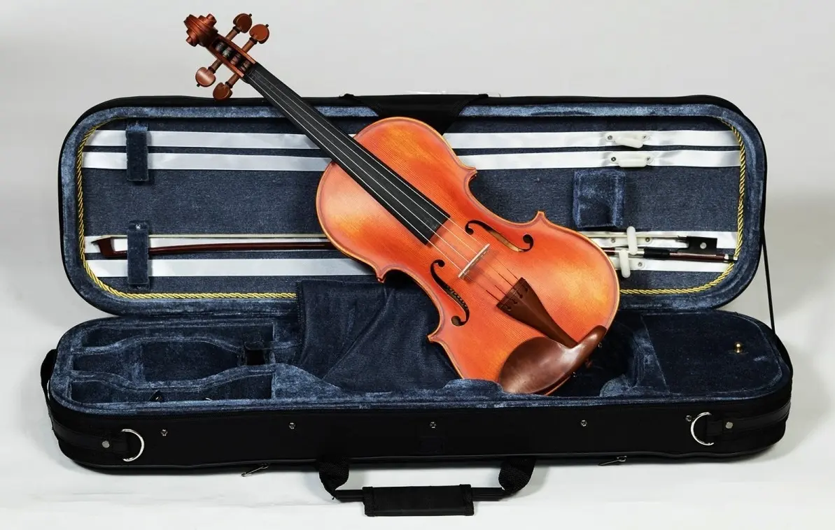 Vioara Karl Hoffmeister MV100 Conservatory 4/4 (Wood)