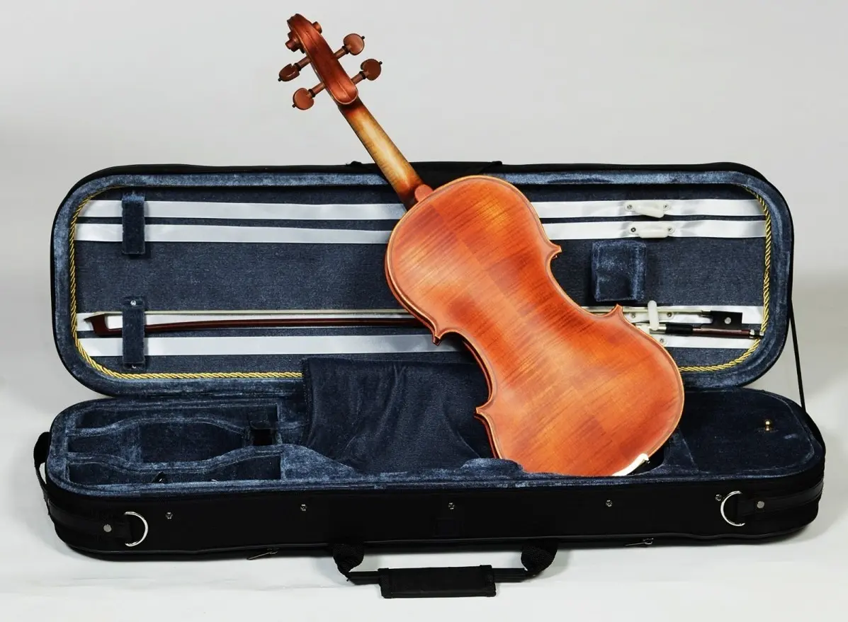 Vioara Karl Hoffmeister MV100 Conservatory 4/4 (Wood)