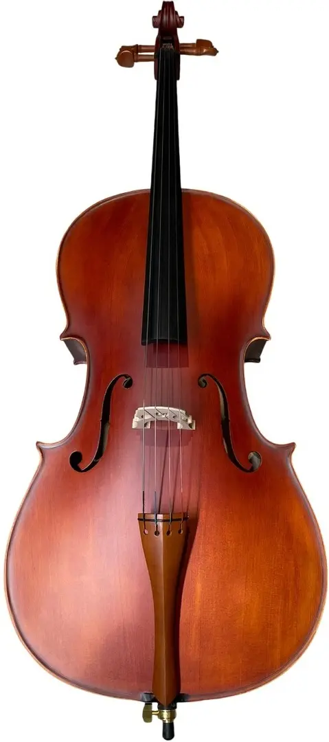 Violoncel Karl Hoffmeister MC 761B 4/4 (Wood/Black)
