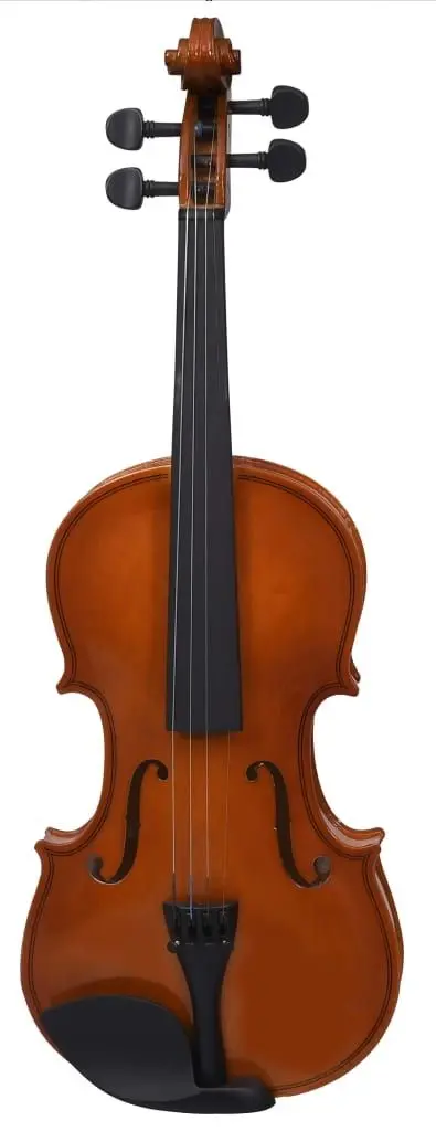 Vioara VidaXL 70142 4/4 (Natural)
