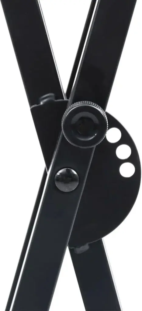 Set suport + taburet pentru instrumente cu clape VidaXL 70096 (Black)