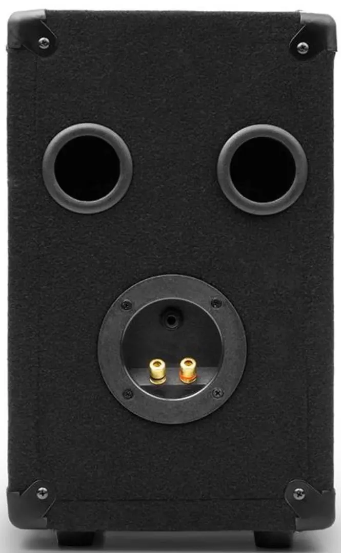 Sistem acustic Auna Pro PW-0622 MKII PA (Black)