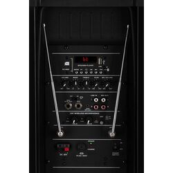 Акустическая система Pronomic PH15AW (Black) Thumb