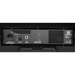 Акустическая система Pronomic PPA10M (Black) Thumb