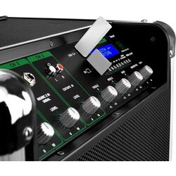 Акустическая система Pronomic PPA10M (Black) Thumb