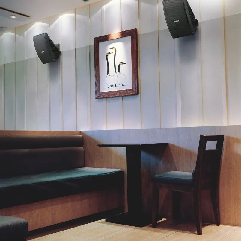 Set sistem acustic + streamer Yamaha NS-AW592 + Arylic A50+ (Black/Silver)