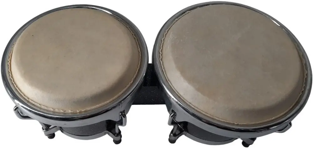 Bongos Parrot BOBCS100 6+7