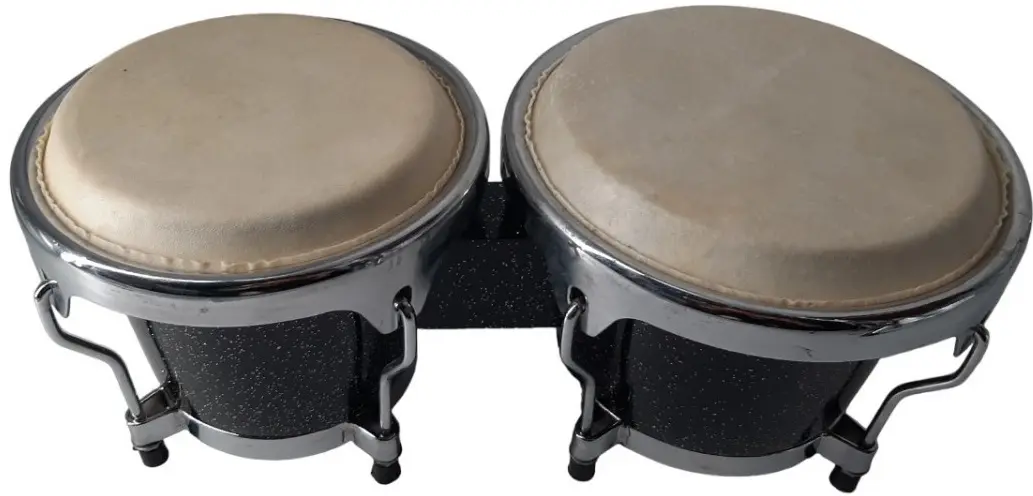 Bongos Parrot BOBCS100 6+7