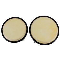 Bongos Parrot ZHB-C Thumb