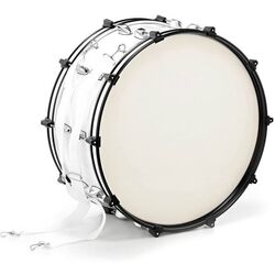 Toba orchestrala Papagal 18 toli 105 -14 H