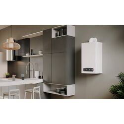 Газовый котел Ariston Cares S 30 TF (White/Gray) Thumb