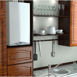 Газовый котел Ariston Cares X 24 FF Thumb