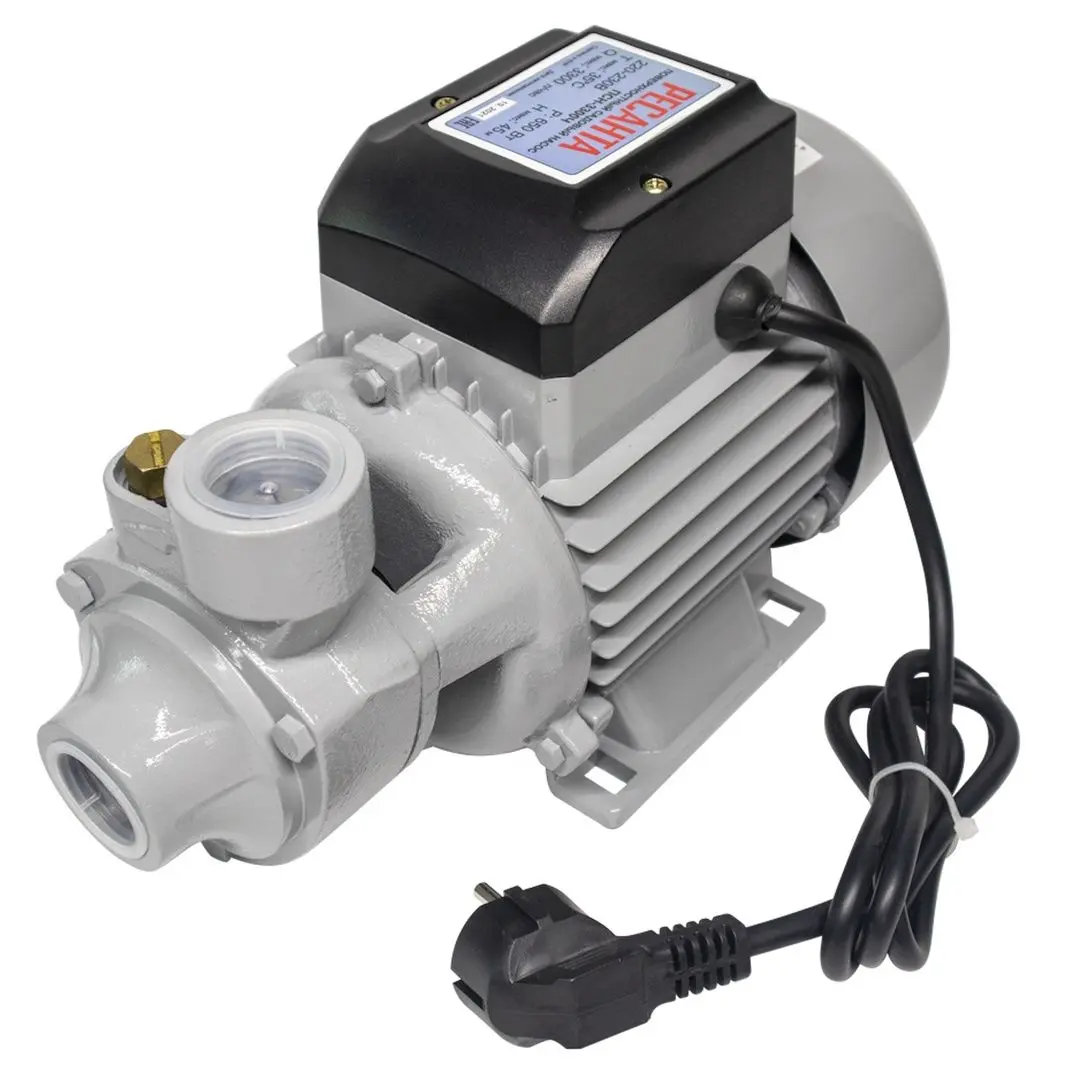 Pompa de suprafata Resanta ПСН-3300Ч 7743