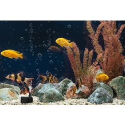 Pompa pentru acvariu Costway ET10047DE-BK (Black) Thumb