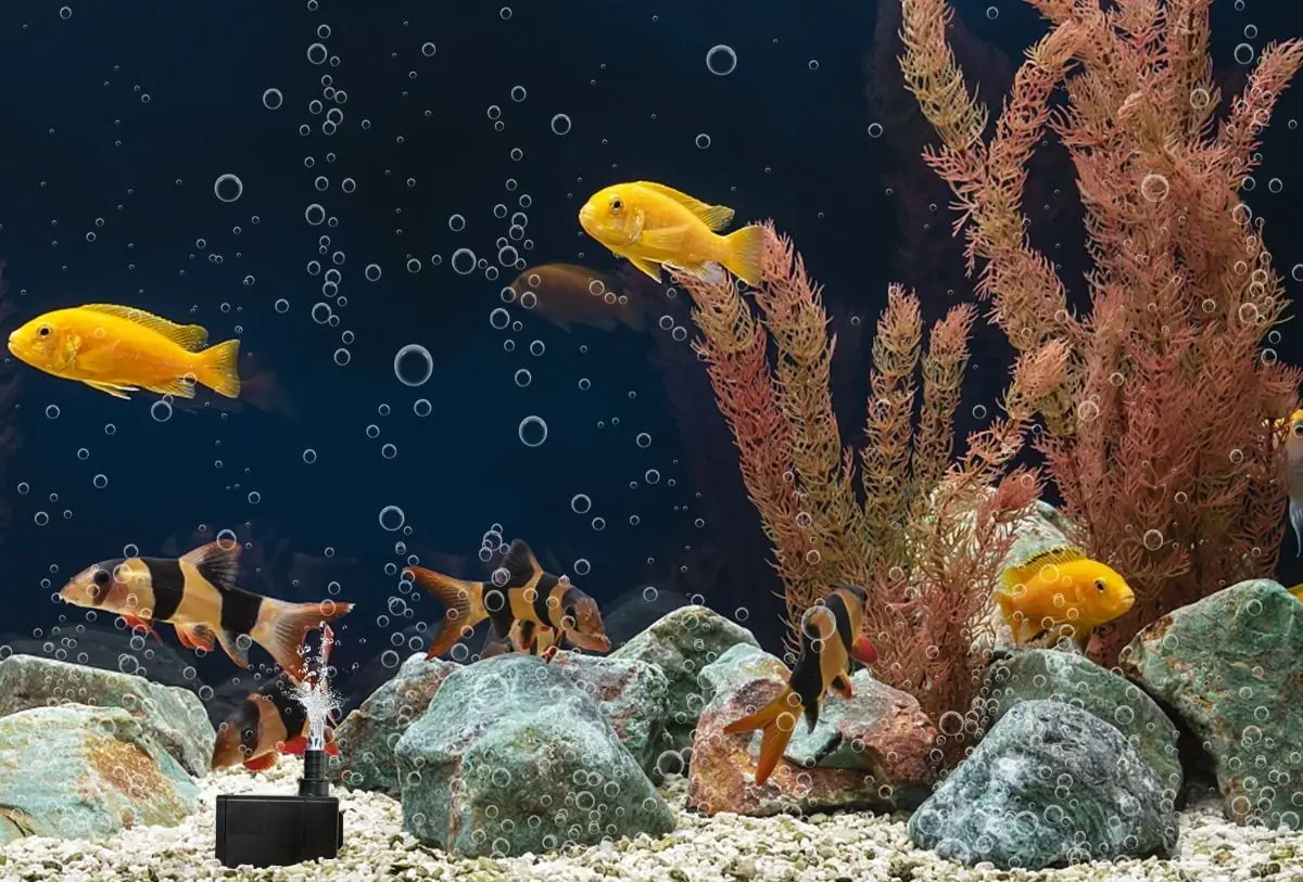 Pompa pentru acvariu Costway ET10047DE-BK (Black)