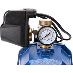 Hidrofor Micul Fermier AutoJet DP550 Thumb