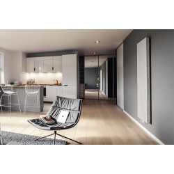 Радиатор Gorgiel Altus VV AVV 180/40 (Graphite Matt) Thumb