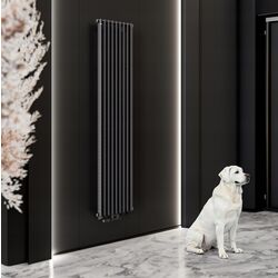 Радиатор Gorgiel Cezar I AD1 180/40 1800x384 (Black Matte) Thumb