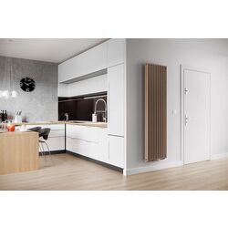 Radiator din otel Gorgiel Cezar I AD2 100/55 1000x548 (Graphite Glossy) Thumb